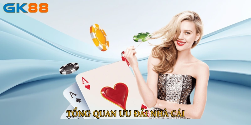 Tổng quan ưu đãi nhà cái